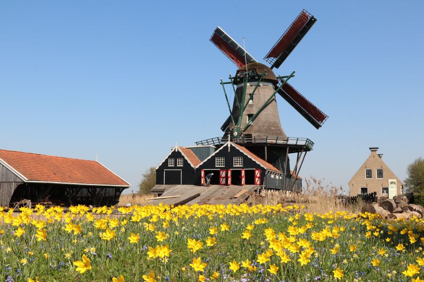 Houtzaagmolen de Rat, Ijlst