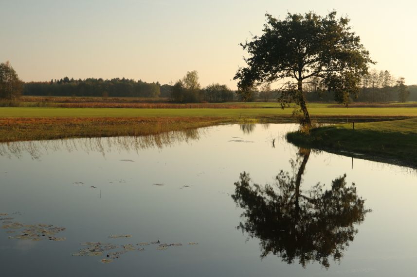 Wallebosch, Beetsterzwaag Wallebosch, Beetsterzwaag