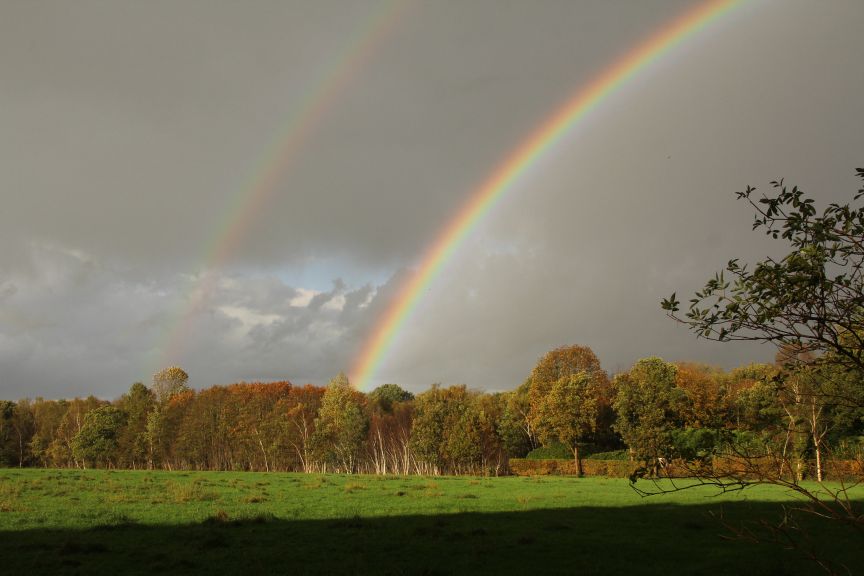 regenboog Oranjewoud