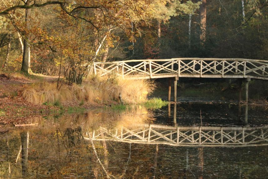 Elfbergen, Oudemirdum Elfbergen, Oudemirdum