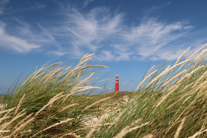 Vuurtoren,  Schiermonnikoog