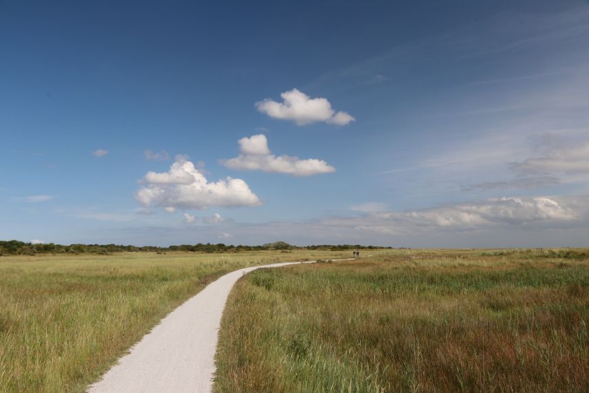 Kobbeduinen, Schiermonnikoog