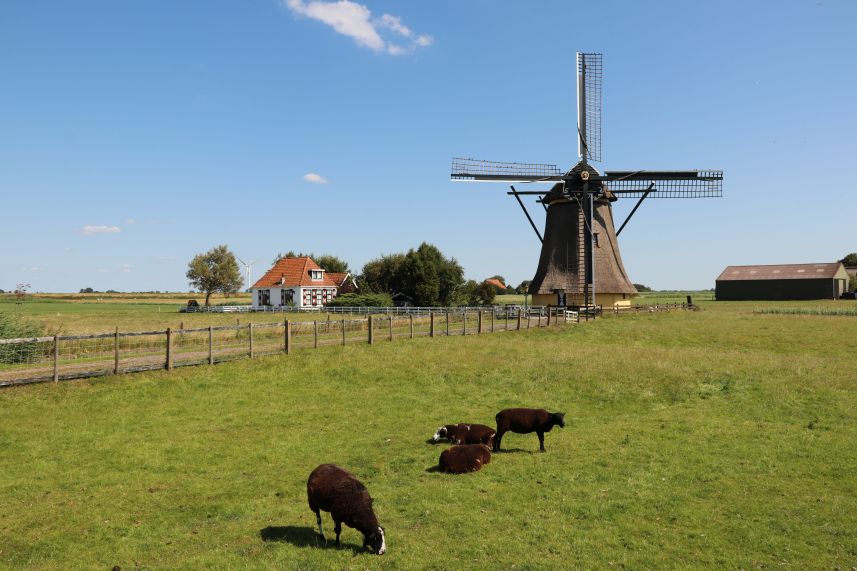 Molen Workum