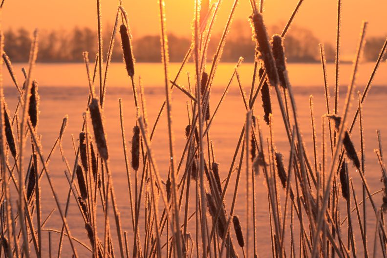 Sunset bij Nannewijd Oudehaske