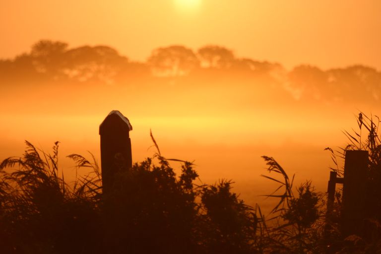 ochtendnevel Oudemirdum