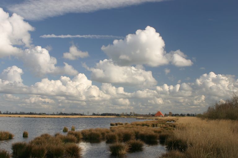 wolkenlucht boven Easterskar, Rotstergaast