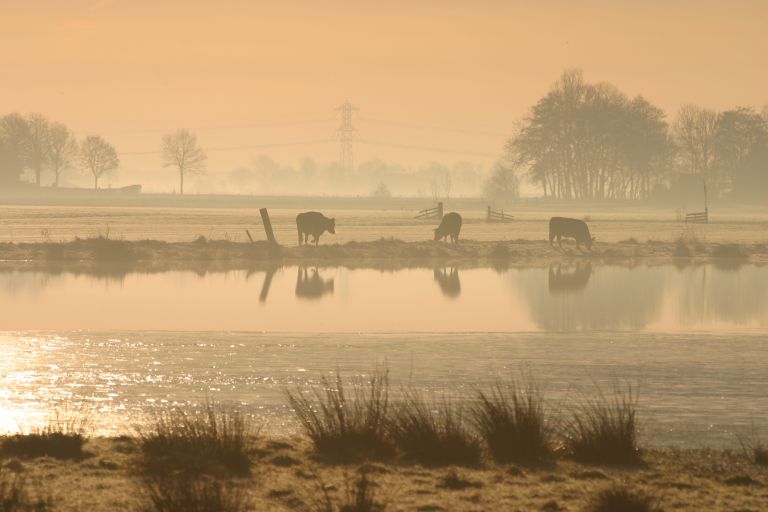 Easterskar bij Rotstergaast