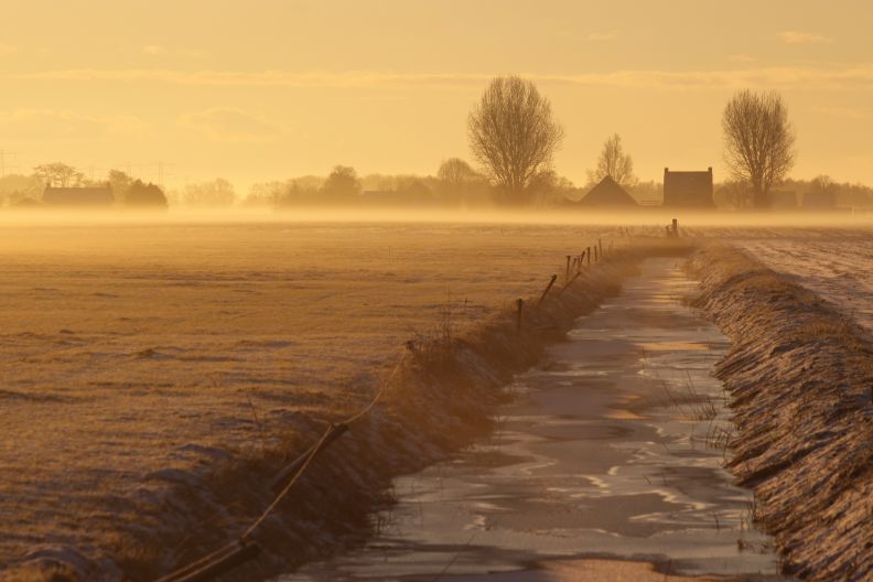 ochtendnevel bij Rottum
