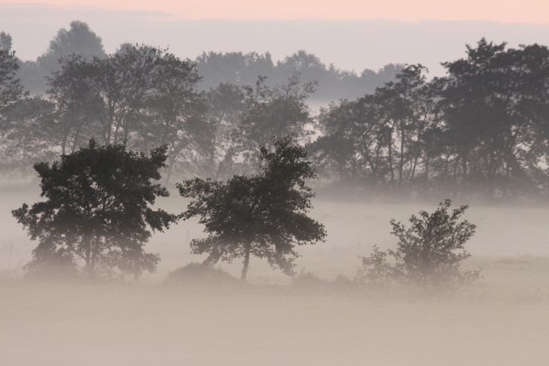 Ochtendnevel bij Ureterp