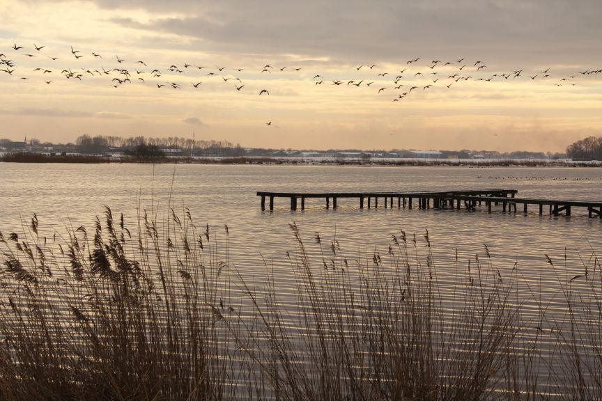 natuurgebied de Lendevallei bij Wolvega